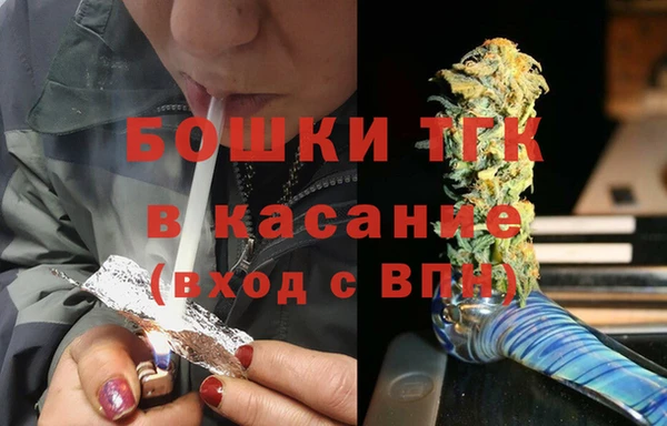 прущие грибы Михайловка
