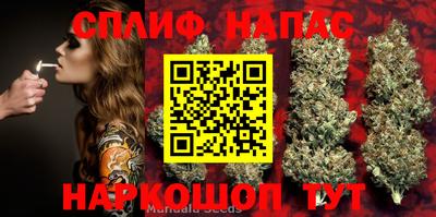 шишки Гусиноозёрск