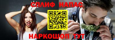 Альфа ПВП Гусев