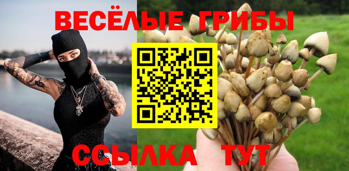 Галлюциногенные грибы Cubensis  как найти   Химки  Вход с VPN 