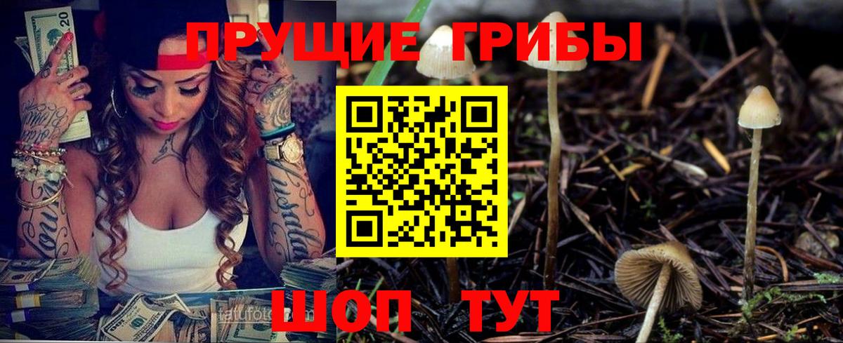 Псилоцибиновые грибы Cubensis Химки
