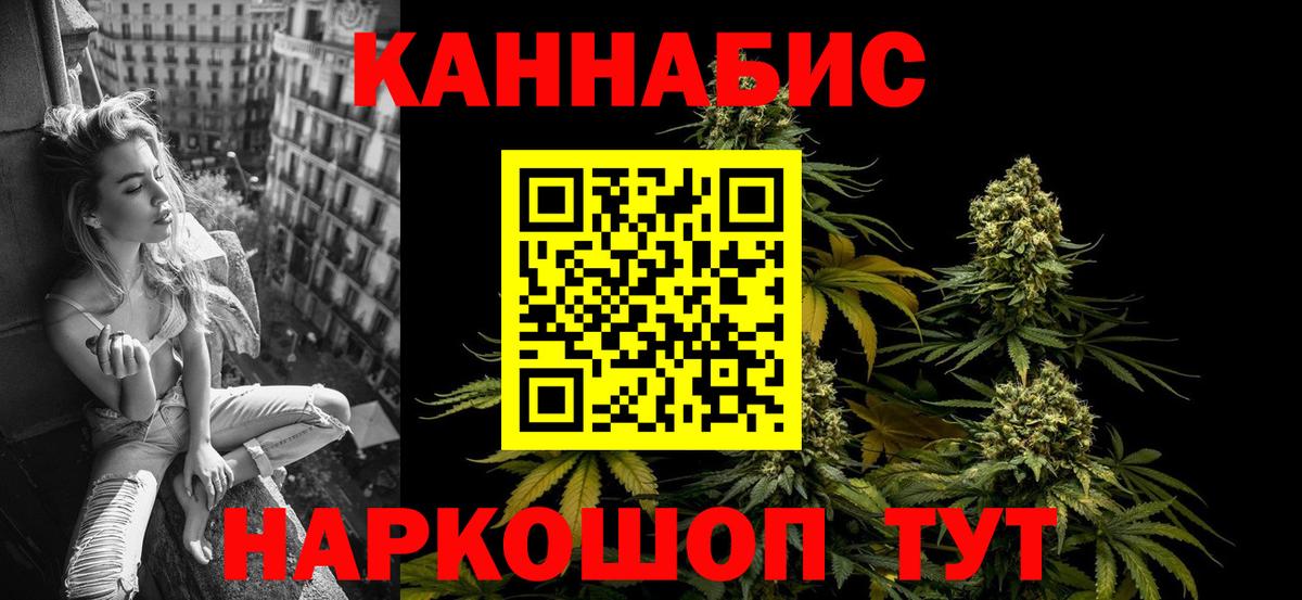 Марихуана планчик  Каннабис гибрид  Шишки марихуана White Widow  Химки  Вход с VPN 